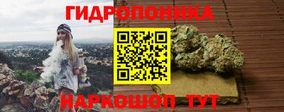 PSILOCYBIN Шахты