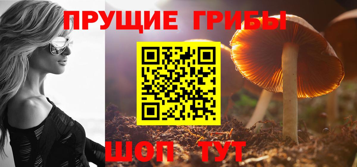 Галлюциногенные грибы Cubensis  Вход с VPN  где продают   Батайск 