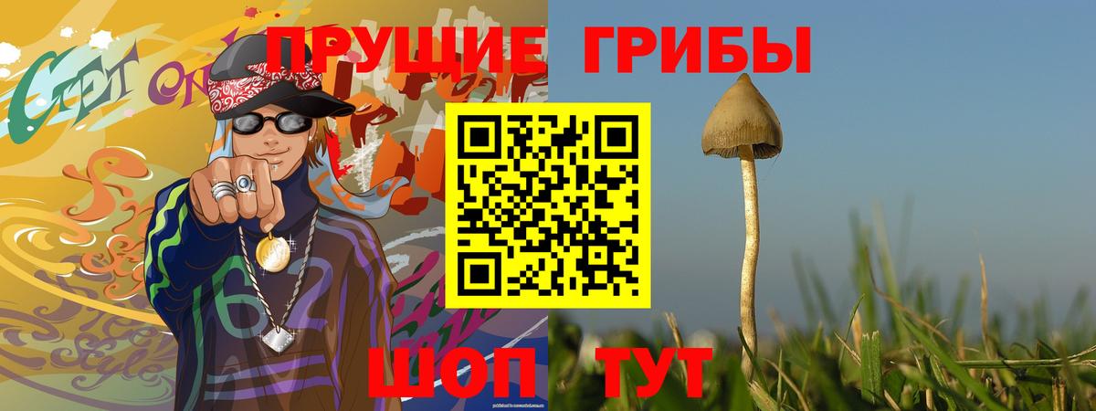 Псилоцибиновые грибы Psilocybe Батайск